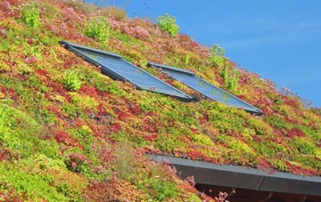 Midgley living roof systems